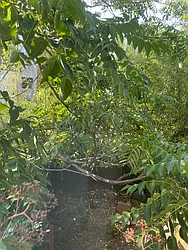 Rented by Moving Forward Real Estate NYC