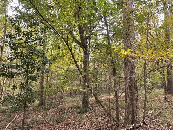 Highway 552, Pattison, MS 39144