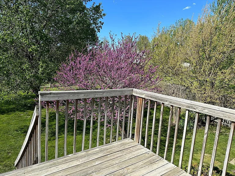 Back Yard from Upper Level Primary Suite Deck