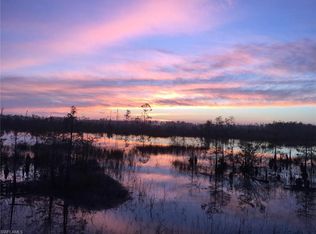 3357 Baltic Dr, Naples, FL 34119