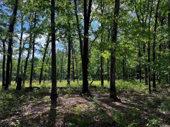 9730 Dyson Rd, Pine Bluff, AR 71603