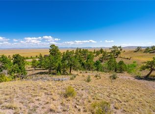 153 Mane Way, Hartsel, CO 80449