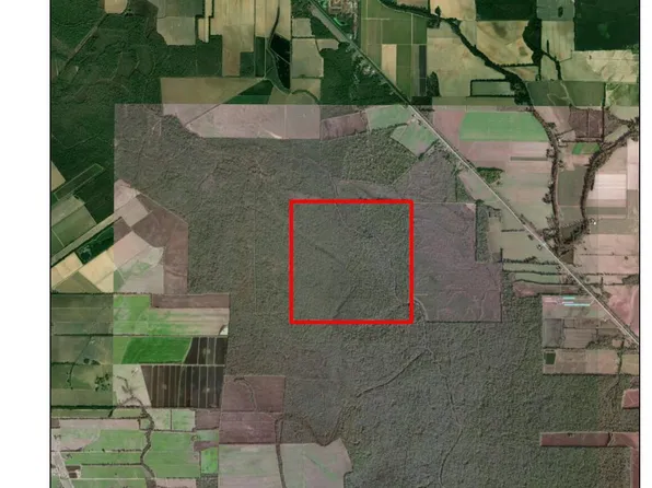 Sect #T3s-r4e-35, Morrow, LA 71356