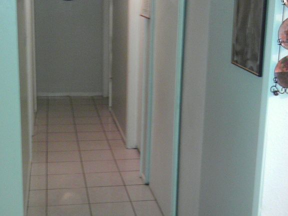 IMAG0245