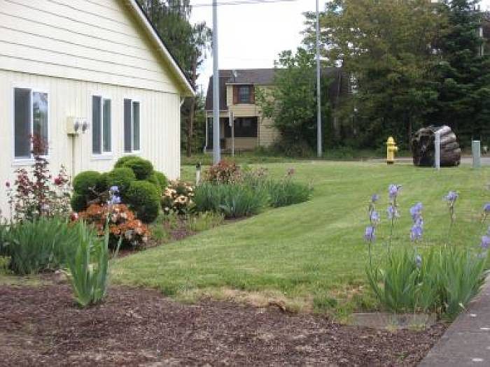 Beautiful Lawns