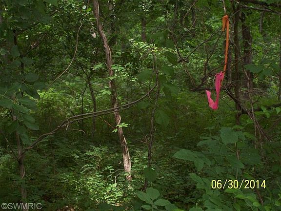 4th image of 14365 Pinewood Dr