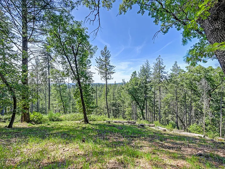 1940 Sliger Mine Rd — Photo 49