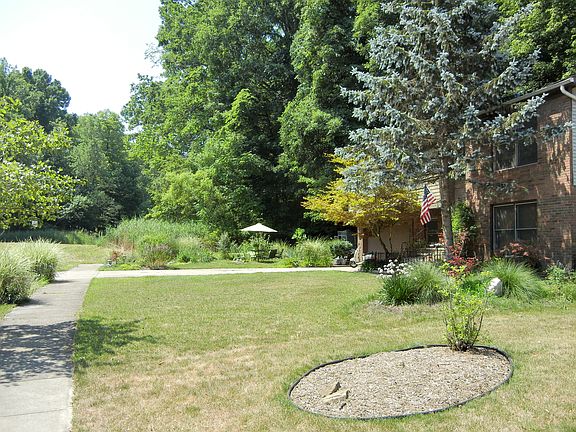 Quiet wooded area