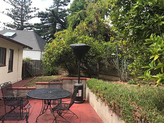 Back yard patio with lemon trees