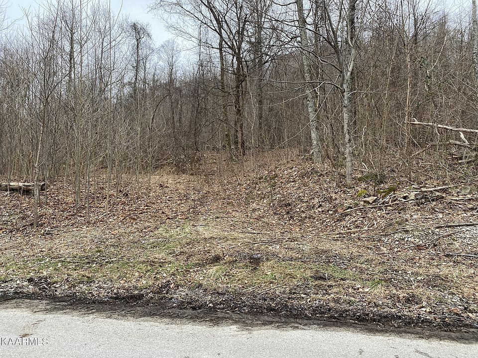 2nd image of 0 Walker Mountain Rd