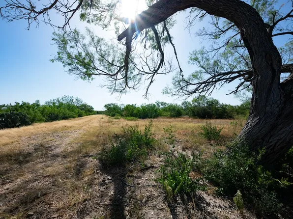 242 Cinco Millas Rd, Tilden, TX 78072