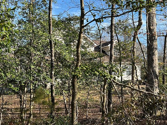 3rd image of 6923 Tanglewood Dr