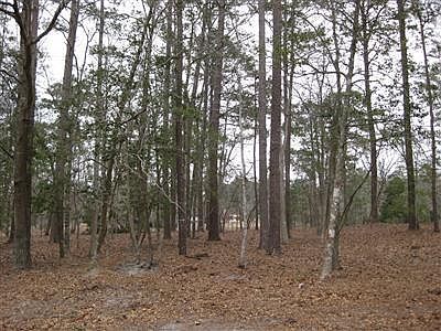 1st image of Long Leaf (Lot 16) Drive LOT 16