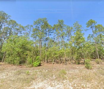 Undetermined Lot 4, Dunnellon, FL, 34431