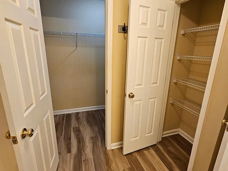 Master & Linen Closets