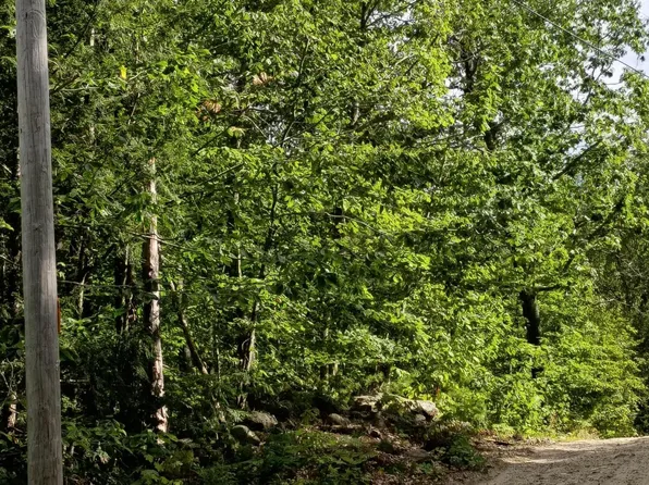 R13/038 Weeks Road, Parsonsfield, ME 04047