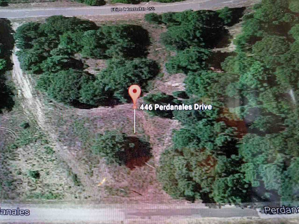 2nd image of 446 Perdanales Dr
