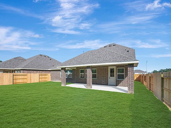 Backyard - May 28, 2026