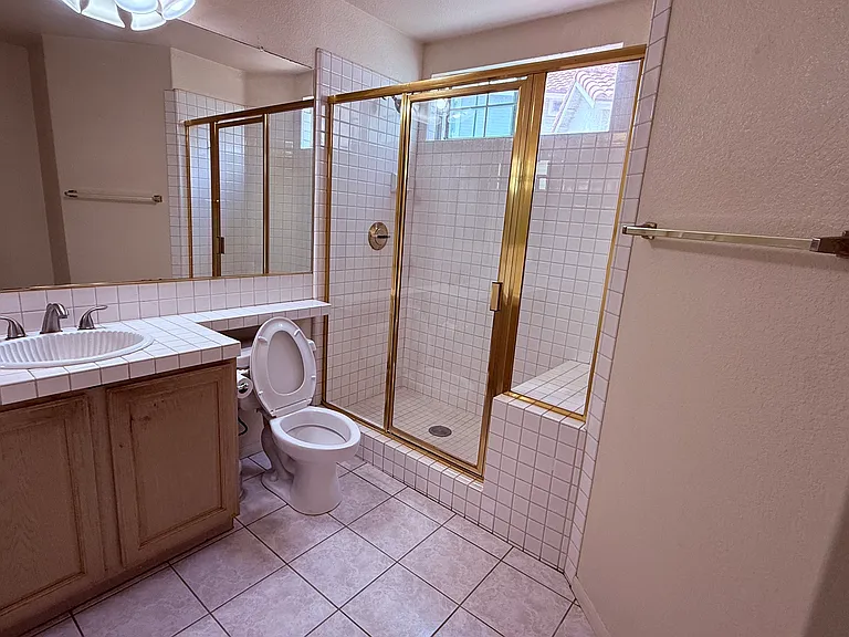 Downstairs Shower