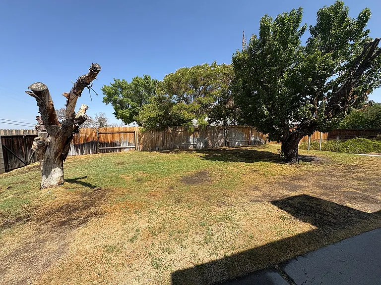 202 Terrace Dr — Photo 14