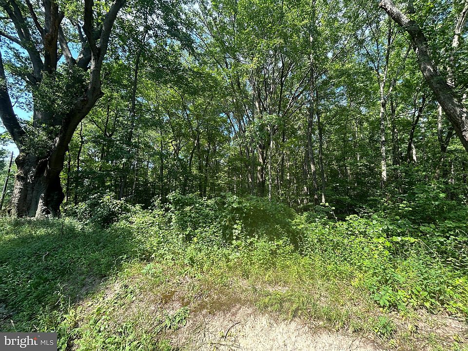 2nd image of Chesterville Forest Rd Parcel 73