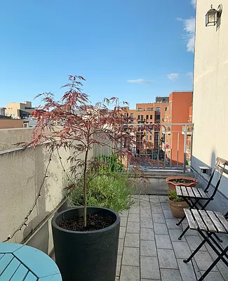 Rented by Corcoran | media 21