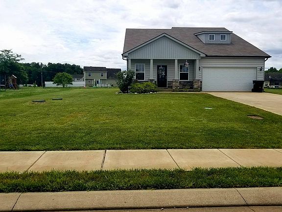 beautiful yard