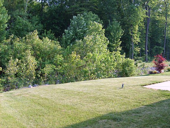 Back Yard - goes across pond