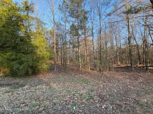 1397 Gravel Springs Rd Lot 7, Senatobia, MS 38668