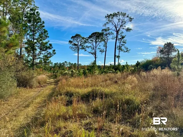 0 Greek Cemetery Rd, Robertsdale, AL 36567