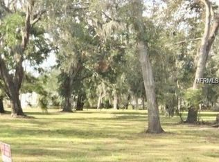 101 N Starr St, Oakland, FL 34787