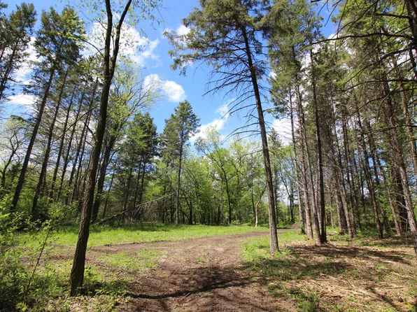 13 County Road 7, South Haven, MN 55382
