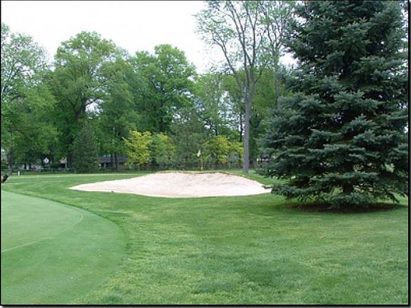 Golf Course View
