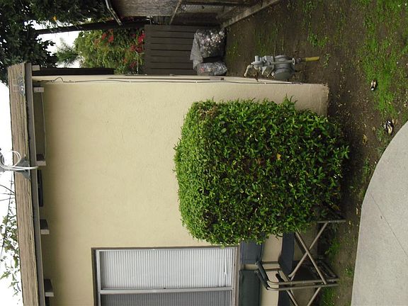 5th image of 11344 Virginia Ave