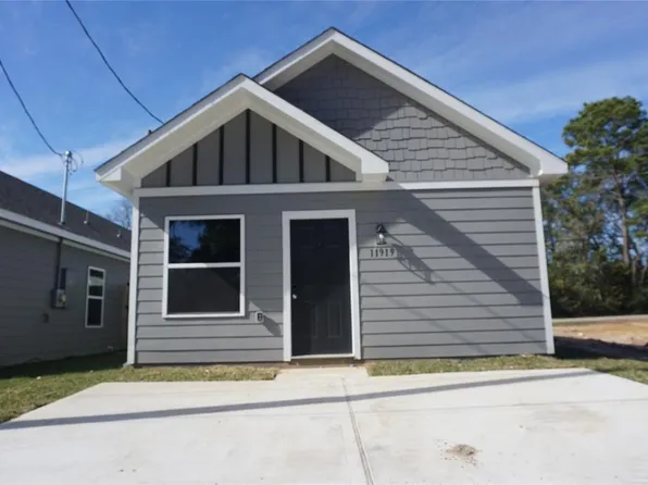 11919 Nelwood Street, Willis, TX 77318