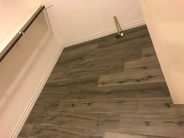 28100 Calle Lumina — Photo 18