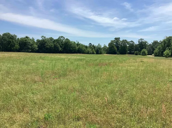 53 Old School Rd, Opp, AL 36467