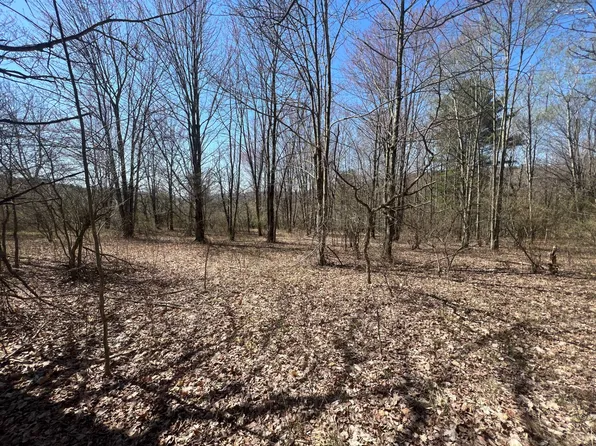 0 Wilkes Rd, Gillett, PA 16925