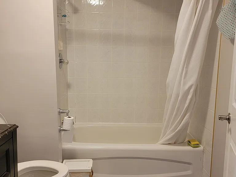 593 Ray Lawson Blvd #BASEMENT — Photo 5