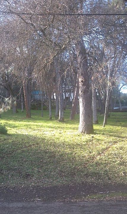 1st image of 4621 Lagoon Dr