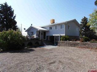 4827 Old Wagon Rd, Delta, CO 81416