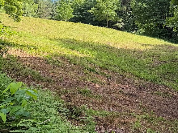 3rd image of 133 Painter Hill Road