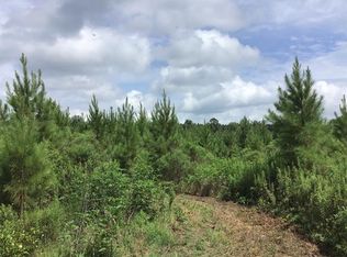 New Light Rd, Monticello, AR 71655