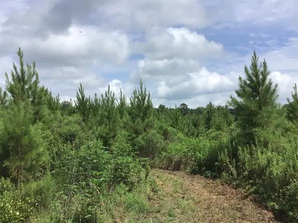 New Light Rd, Monticello, AR 71655