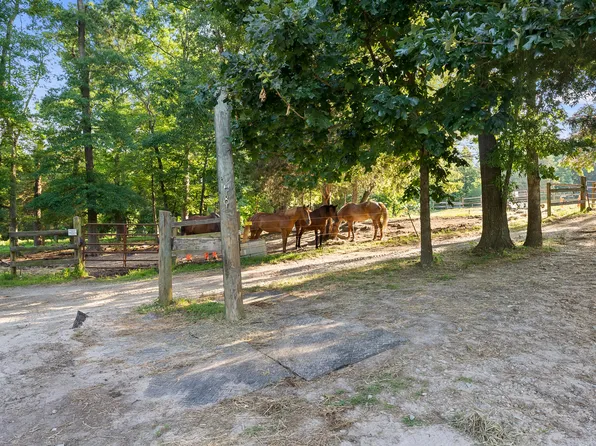 9402 Hampton Rd, Rougemont, NC 27572