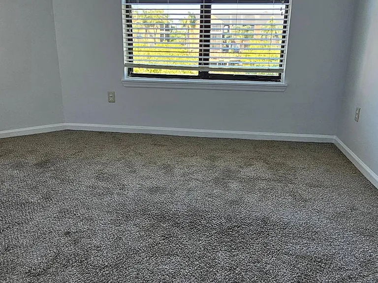 11901 4th St N #11203 — Photo 10