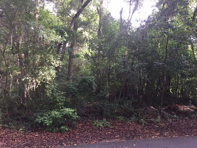2nd image of 19 Moss Oaks Dr