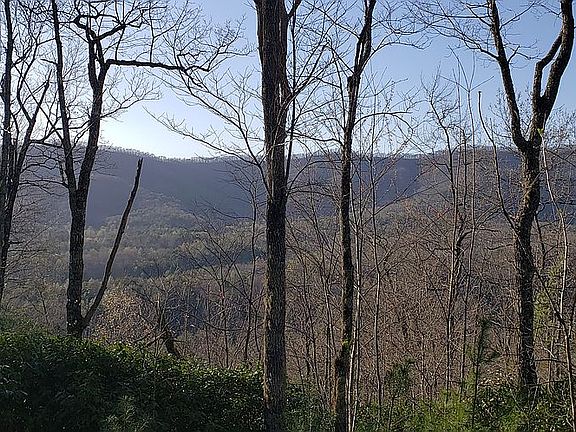 4th image of 21 Fly Cast Overlook