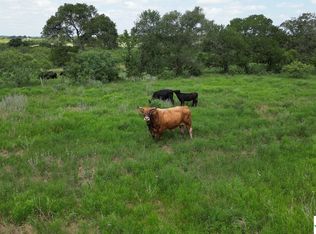 5650 Pettytown Rd, Dale, TX 78616