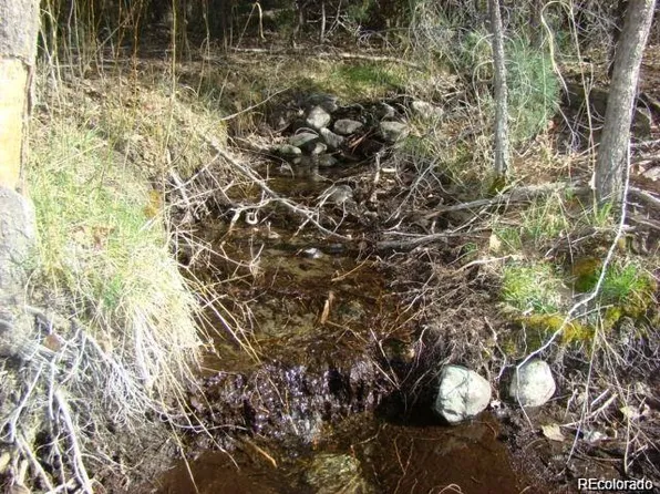 Lot 72 California Circle LOT 72-C, Mosca, CO 81146